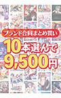 【まとめ買い】1，800作品以上から10本選んで9，500円！冬のブランド合同セット